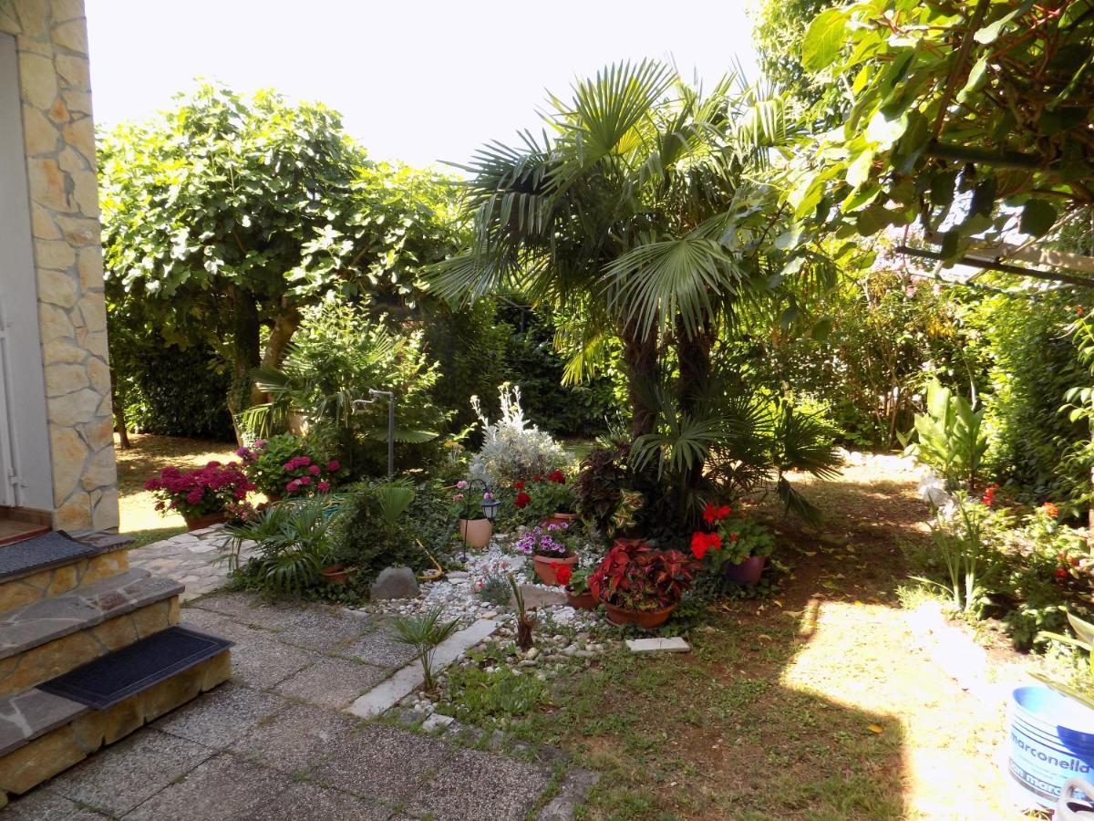 Oriella Apartmans And Room Novigrad  Екстер'єр фото